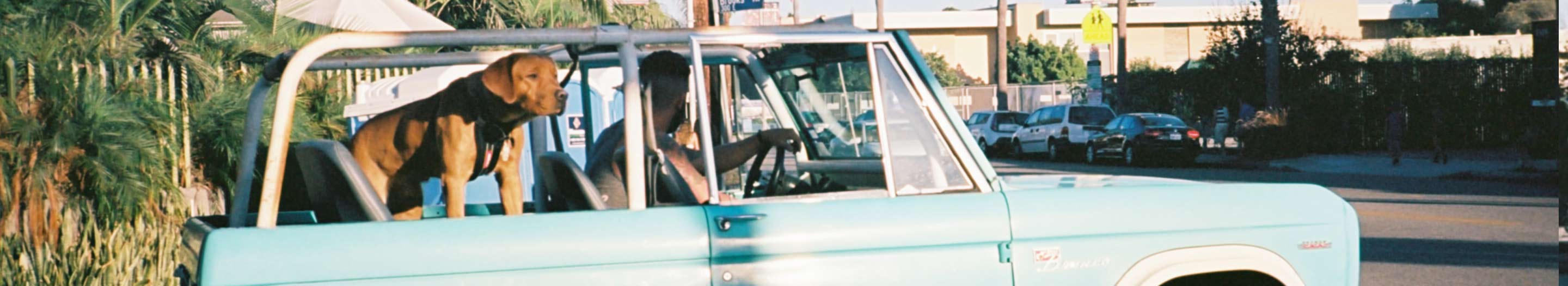 New DVBBS single 'Not Going Home' out now! New DVBBS single 'Not Going Home' out now!