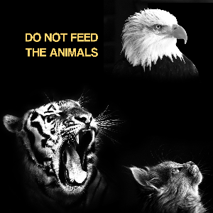 Do Not Feed The Animals