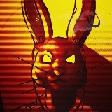 Jay Rabbit