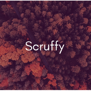 Scruffy_DJ